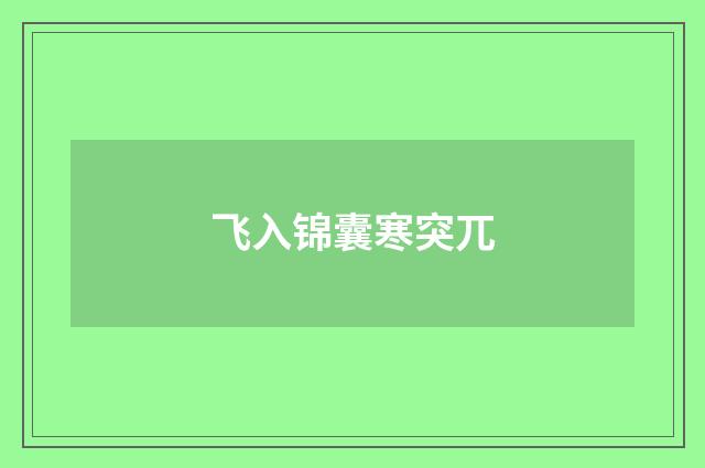 飞入锦囊寒突兀