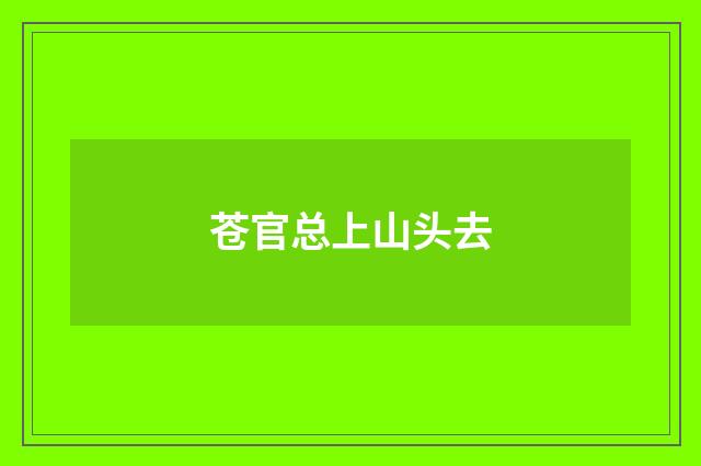 苍官总上山头去