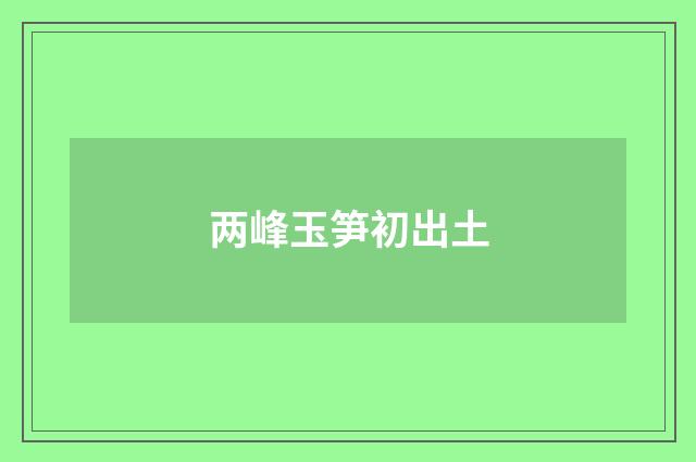 两峰玉笋初出土