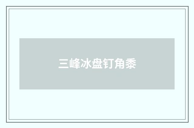 三峰冰盘钉角黍