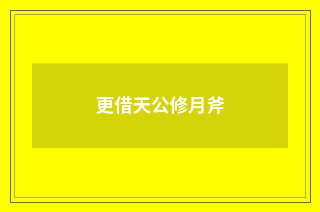 更借天公修月斧