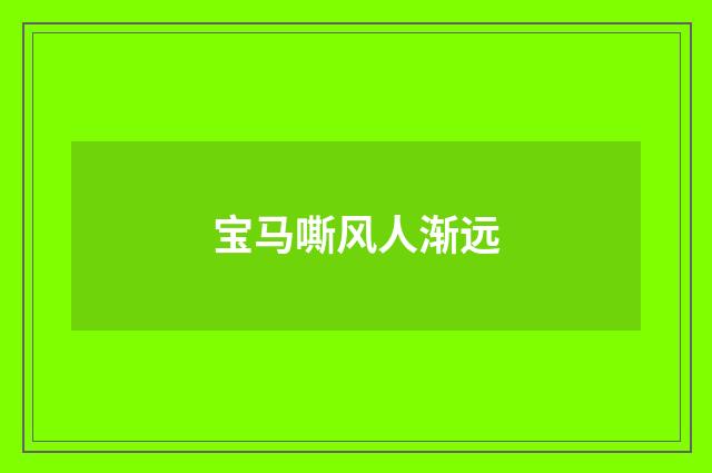 宝马嘶风人渐远