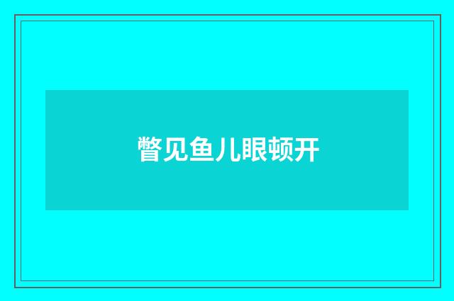 瞥见鱼儿眼顿开