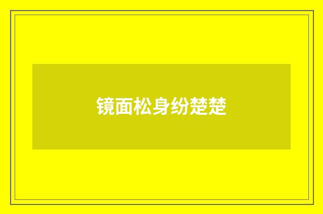 镜面松身纷楚楚