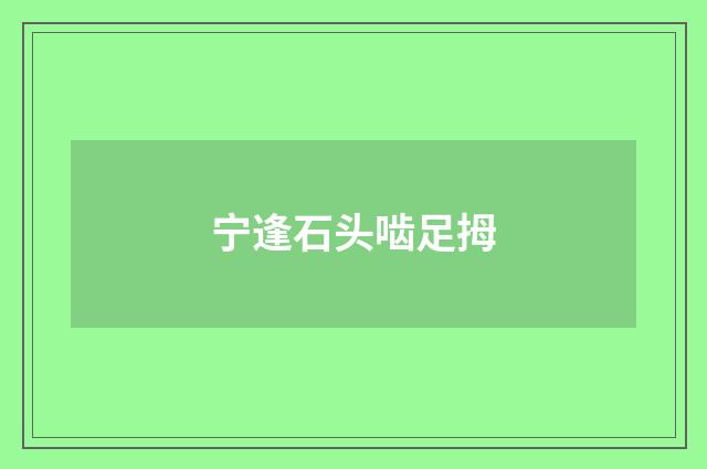 宁逢石头啮足拇