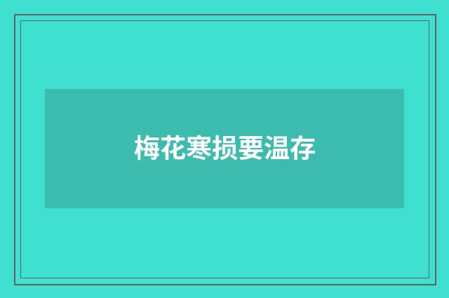 梅花寒损要温存