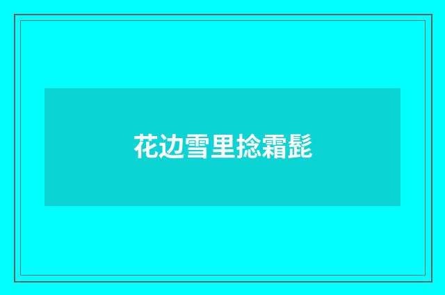 花边雪里捻霜髭