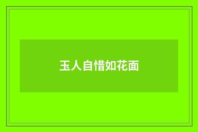 玉人自惜如花面