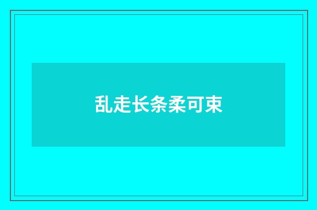 乱走长条柔可束