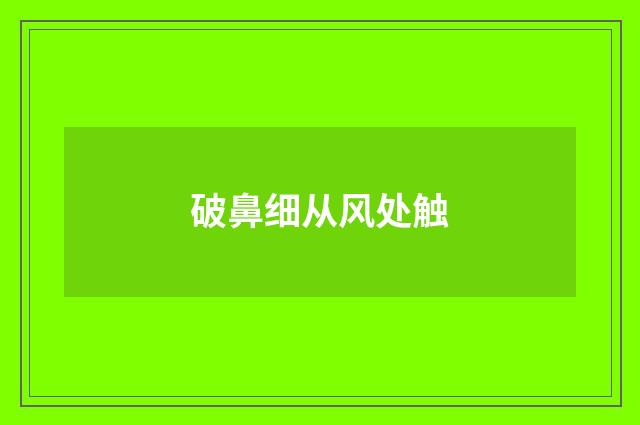 破鼻细从风处触