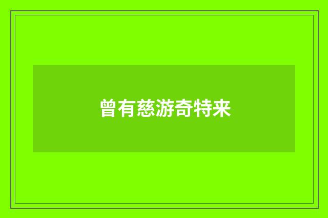 曾有慈游奇特来