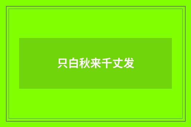只白秋来千丈发