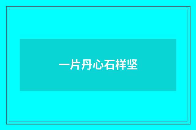 一片丹心石样坚