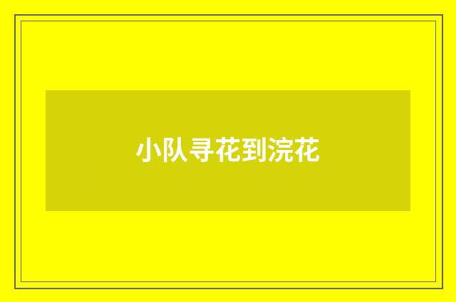 小队寻花到浣花