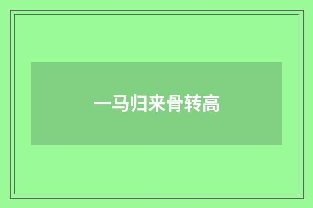 一马归来骨转高