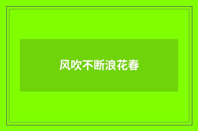 风吹不断浪花春