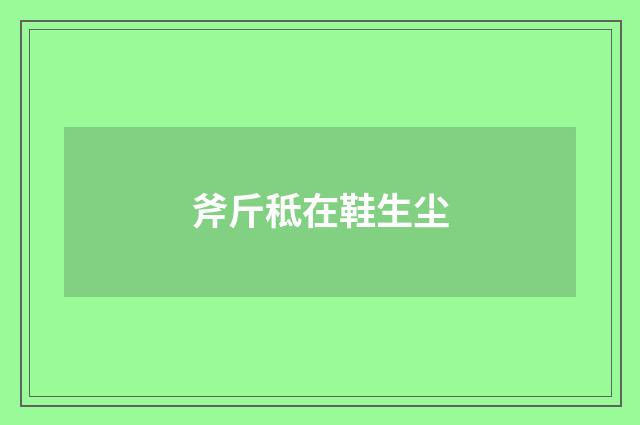 斧斤秪在鞋生尘