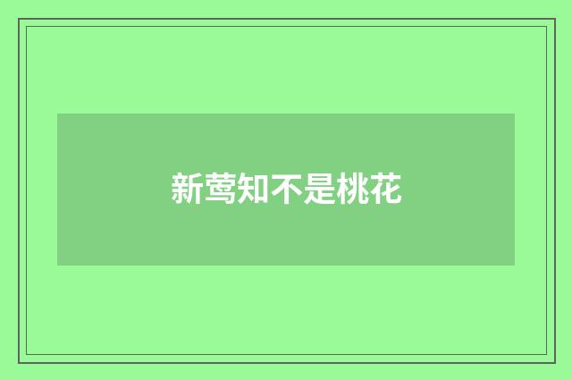 新莺知不是桃花
