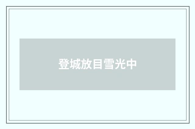 登城放目雪光中