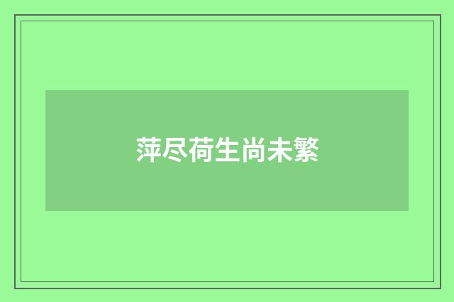 萍尽荷生尚未繁