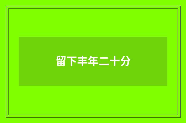 留下丰年二十分