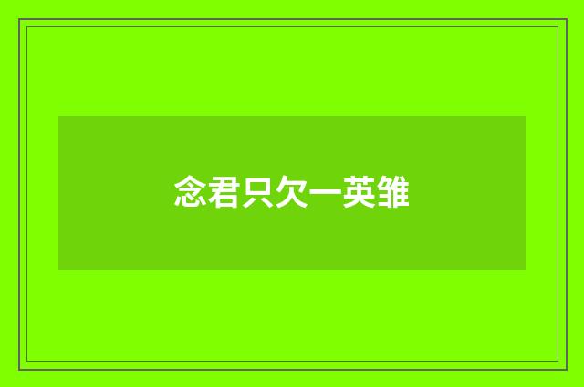 念君只欠一英雏