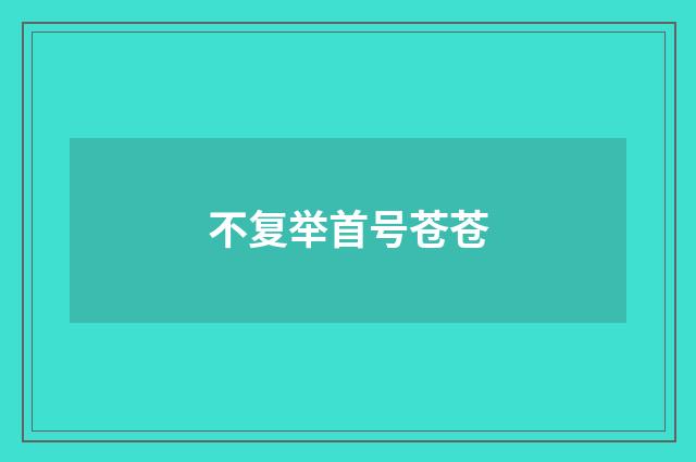 不复举首号苍苍