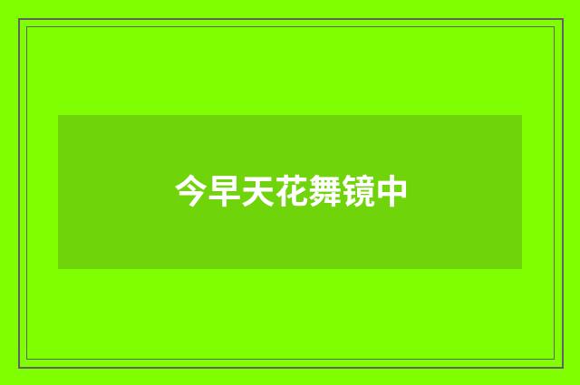今早天花舞镜中