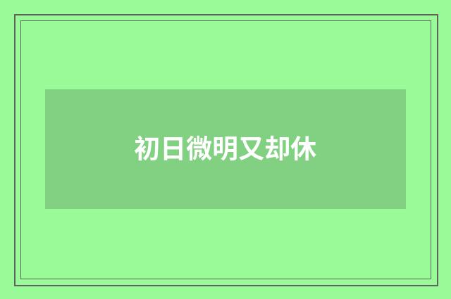 初日微明又却休
