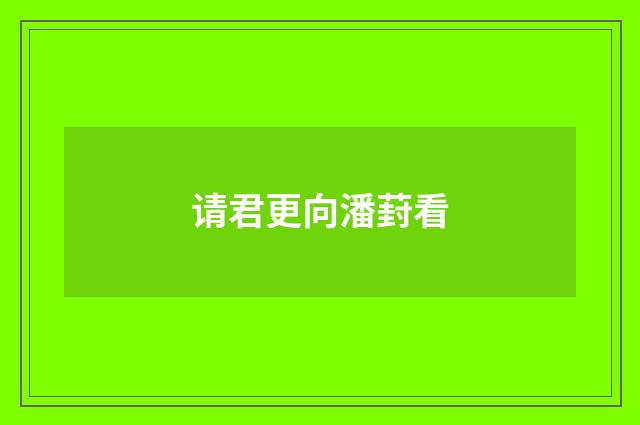 请君更向潘葑看