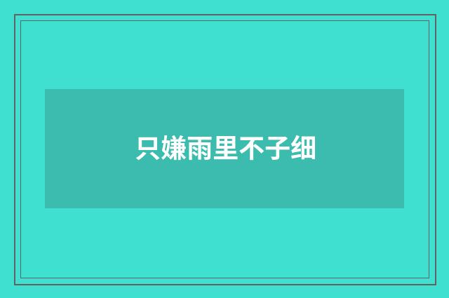 只嫌雨里不子细
