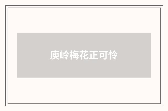 庾岭梅花正可怜
