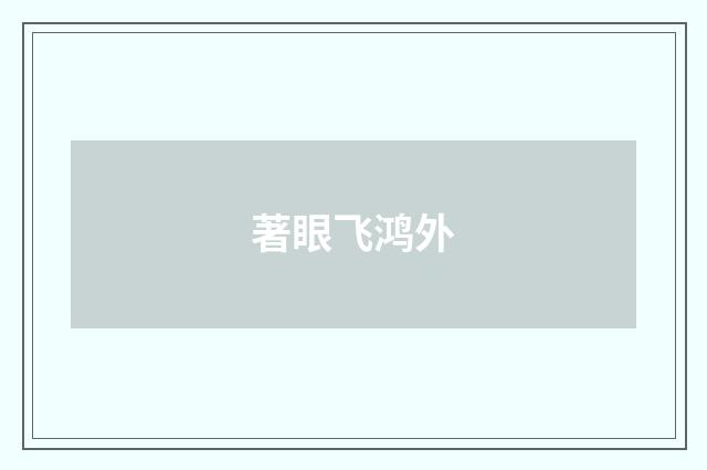 著眼飞鸿外