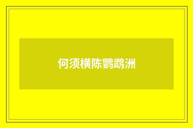 何须横陈鹦鹉洲