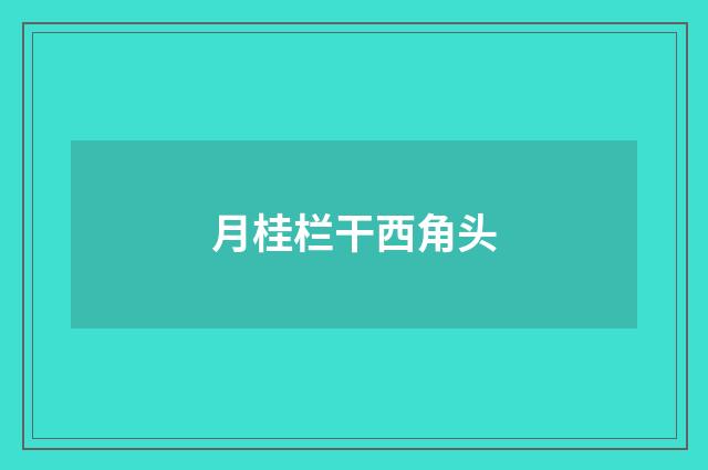 月桂栏干西角头