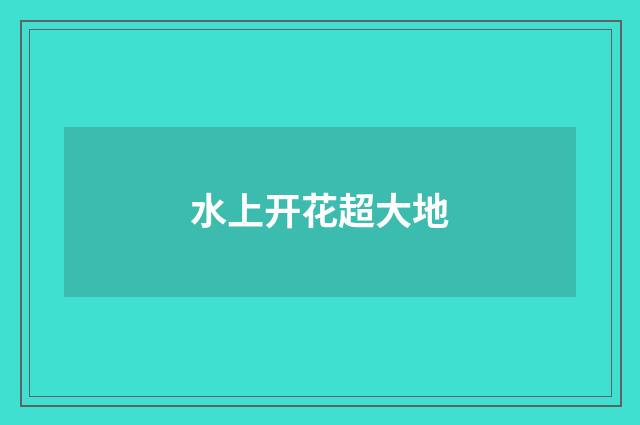 水上开花超大地
