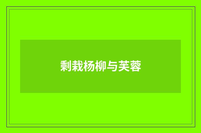 剩栽杨柳与芙蓉