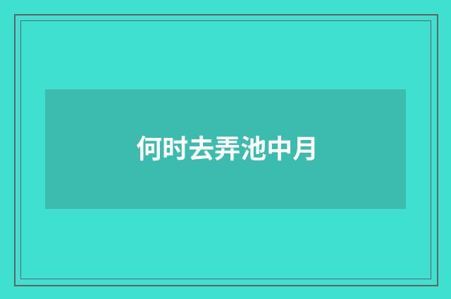 何时去弄池中月