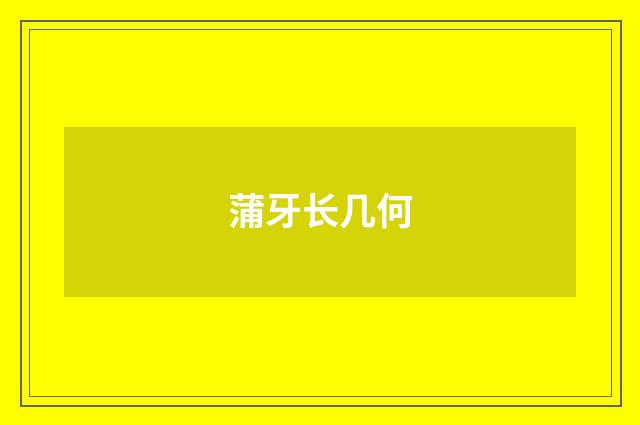 蒲牙长几何