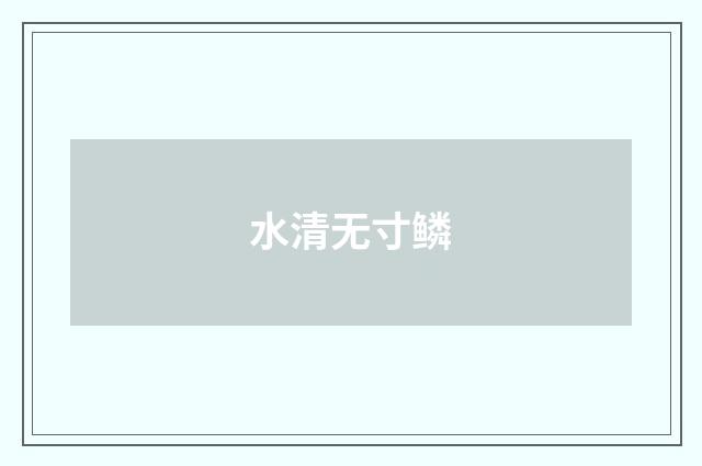 水清无寸鳞