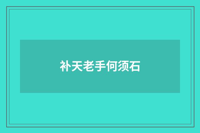 补天老手何须石