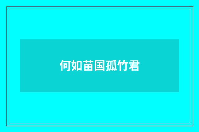 何如苗国孤竹君