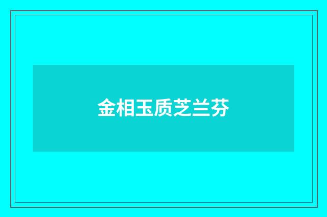 金相玉质芝兰芬