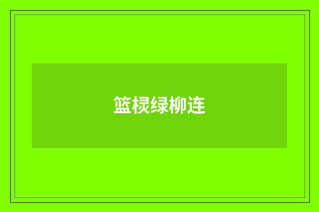 篮棂绿柳连