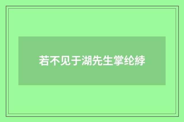 若不见于湖先生掌纶綍