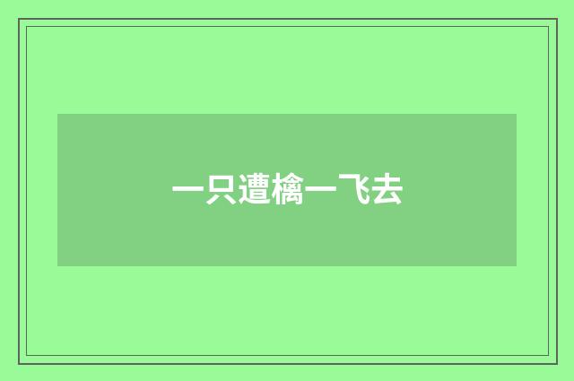 一只遭檎一飞去