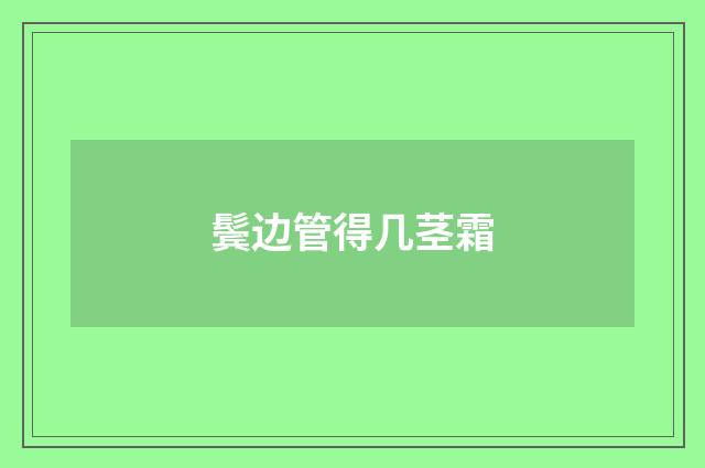 鬓边管得几茎霜