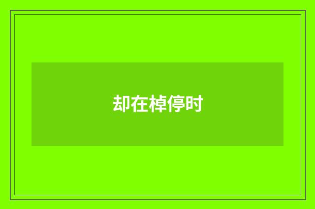 却在棹停时