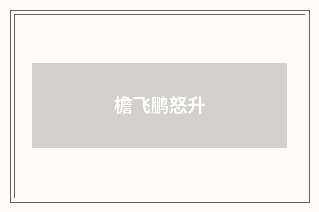 檐飞鹏怒升