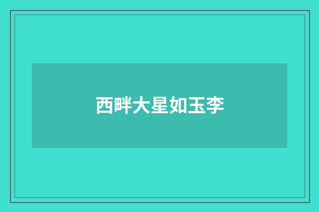 西畔大星如玉李